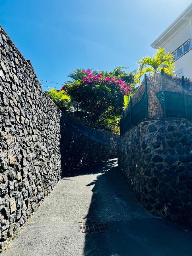 Appart. Avec Grande Terrasse Vue Ocean Saint-Gilles-les-Bains Exterior foto